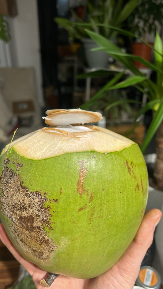 Organic Young Green Coconuts